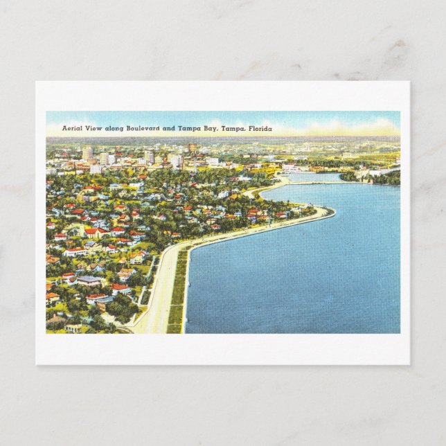 Vintage Tampa Bay, Florida, Aerial Postcard (Front)