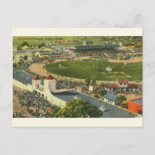 Vintage Tampa Florida Fair Grounds Postcard