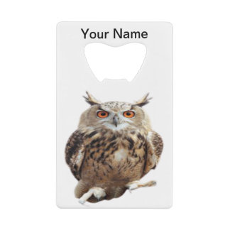Vintage Tawny Owl With Claws Art