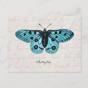 Vintage Teal Blue Butterfly Illustration - 1800's Postcard