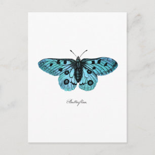 Vintage Teal Blue Butterfly Illustration - 1800's Postcard