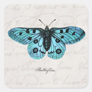 Vintage Teal Blue Butterfly Illustration - 1800's Square Sticker