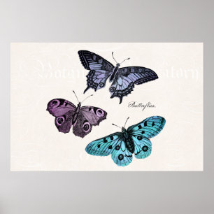 Vintage Teal Blue Purple Pink Butterfly Drawing Poster