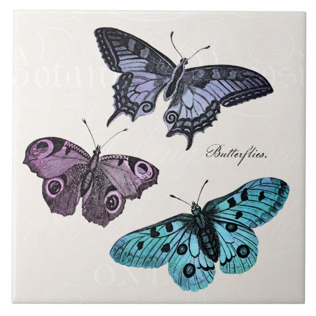 Vintage Teal Blue Purple Pink Butterfly Drawing Tile (Front)