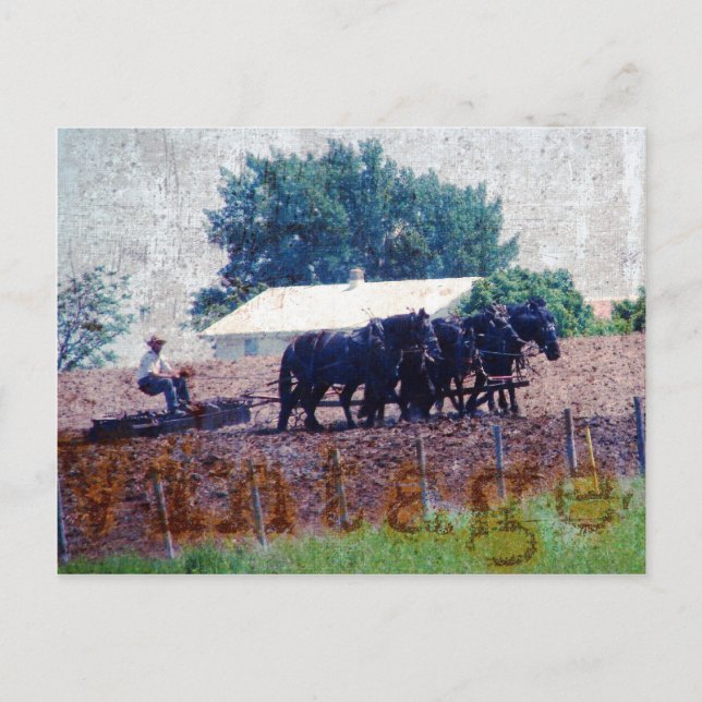 Vintage Team Work Postcard (Front)