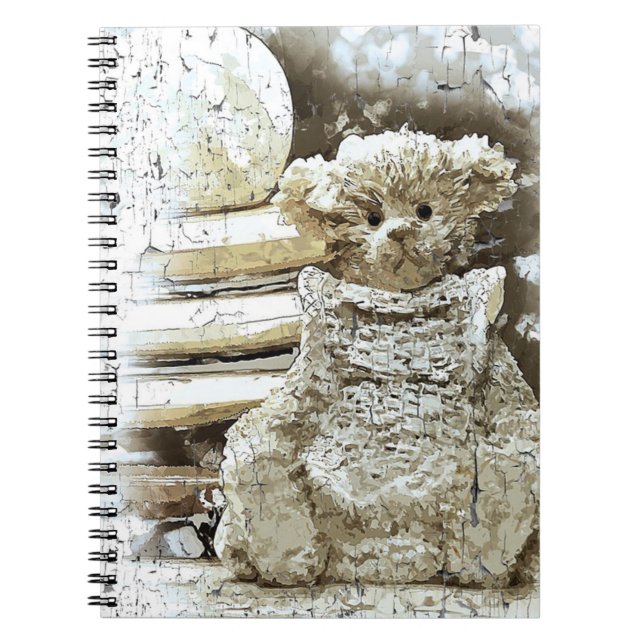 Vintage Teddy Bear and Books (Front)