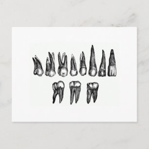 Vintage Teeth Postcard