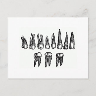 Vintage Teeth Postcard
