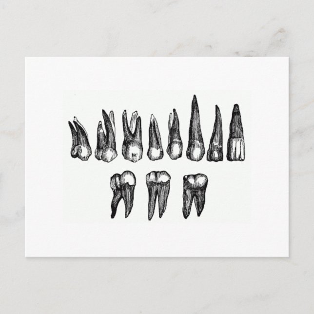 Vintage Teeth Postcard (Front)