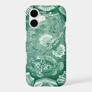 Vintage Teleostei Shells and Fish by Ernst Haeckel