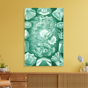 Vintage Teleostei Shells and Fish by Ernst Haeckel Canvas Print