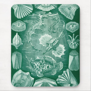 Vintage Teleostei Shells and Fish by Ernst Haeckel Mouse Mat