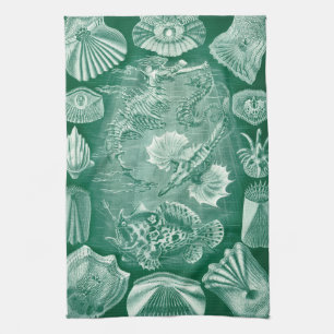 Vintage Teleostei Shells and Fish by Ernst Haeckel Tea Towel