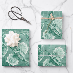 Vintage Teleostei Shells and Fish by Ernst Haeckel Wrapping Paper Sheet