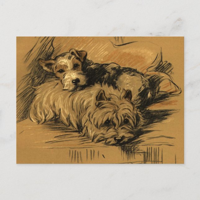Vintage Terrier and Westie Postcard (Front)