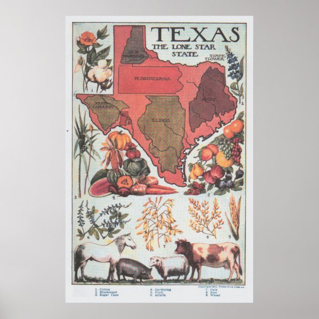 Vintage Texas Agricultural Map (1922) Poster (Front)