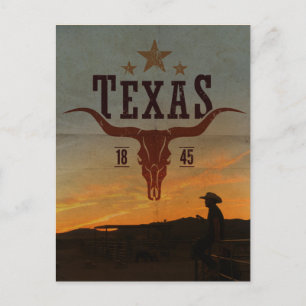 Vintage Texas Cowboy Travel Postcard
