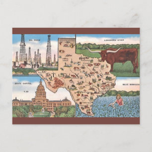 Vintage Texas State Postcard