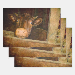 Vintage Texture Cow In Barn Rustic Country Funny Wrapping Paper Sheet