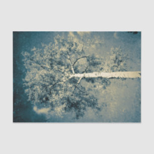 Vintage Texture Forest Tree Against Grey Sky Tissue Paper