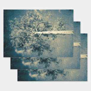 Vintage Texture Forest Tree Against Grey Sky Wrapping Paper Sheet