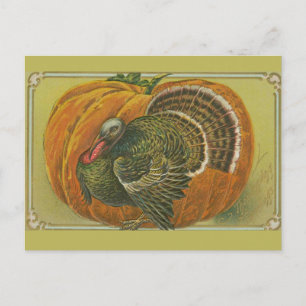 Vintage Thanksgiving greeting turkey and pumpkin Postcard