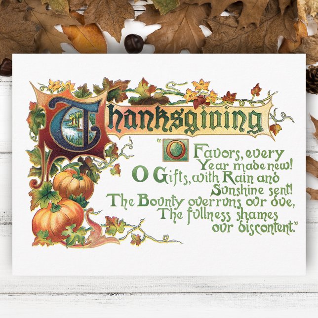 Vintage Thanksgiving Greeting with Pumpkins Holiday Postcard (Creator Uploaded)