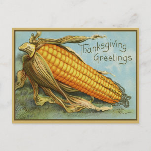 Vintage Thanksgiving Greetings Corn Holiday Postcard