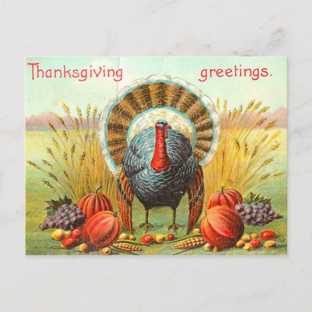 Vintage Thanksgiving Greetings Holiday Postcard (Front)