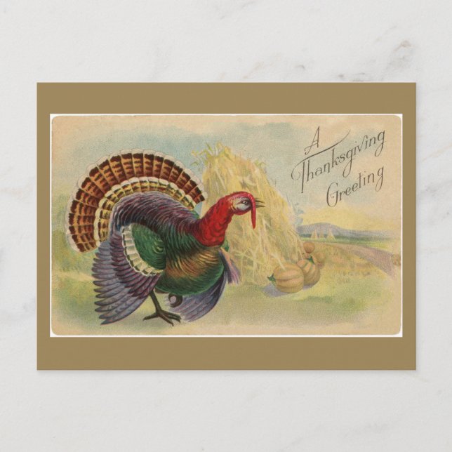 Vintage Thanksgiving Greetings  Turkey Postcard (Front)