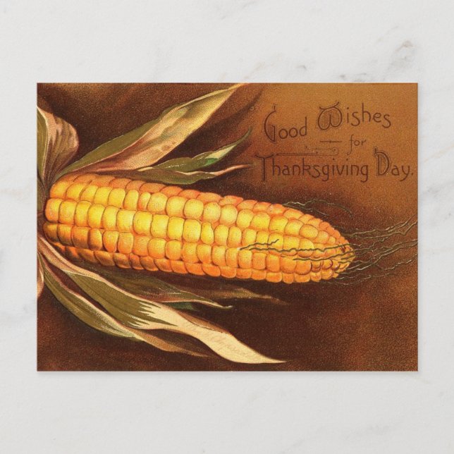 Vintage Thanksgiving Holiday Postcard (Front)