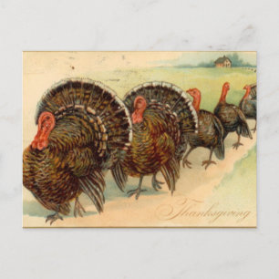 vintage Thanksgiving Holiday scene Postcard
