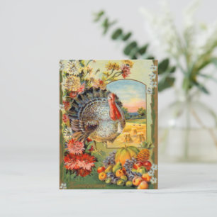 vintage Thanksgiving Holiday turkey Postcard
