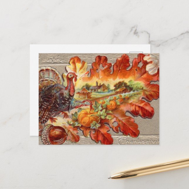 vintage Thanksgiving Holiday turkey Postcard  (Front/Back In Situ)