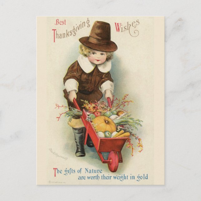 Vintage Thanksgiving Pilgrim Boy with Wheelbarrow Postcard (Front)
