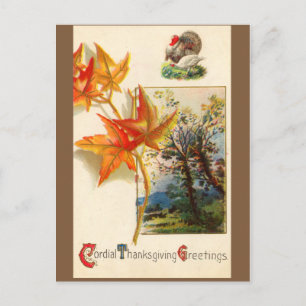 Vintage Thanksgiving Postcard