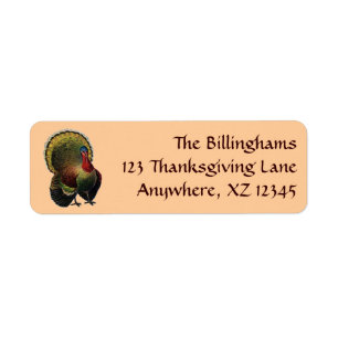 Vintage Thanksgiving Turkey