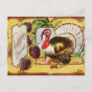Vintage Thanksgiving Turkey and Blackberries  Holiday Postcard