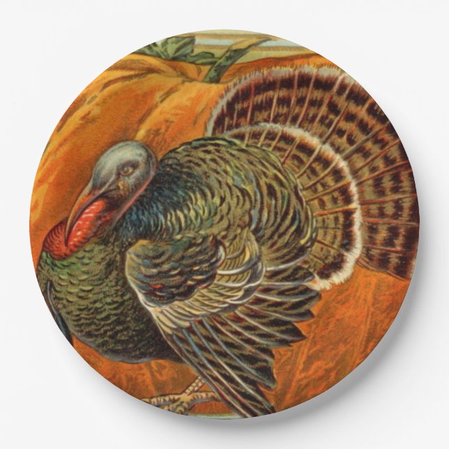 vintage Thanksgiving turkey Holiday Paper Plate (Front)