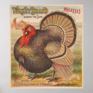Vintage Thanksgiving Turkey Illustration (1891) Poster