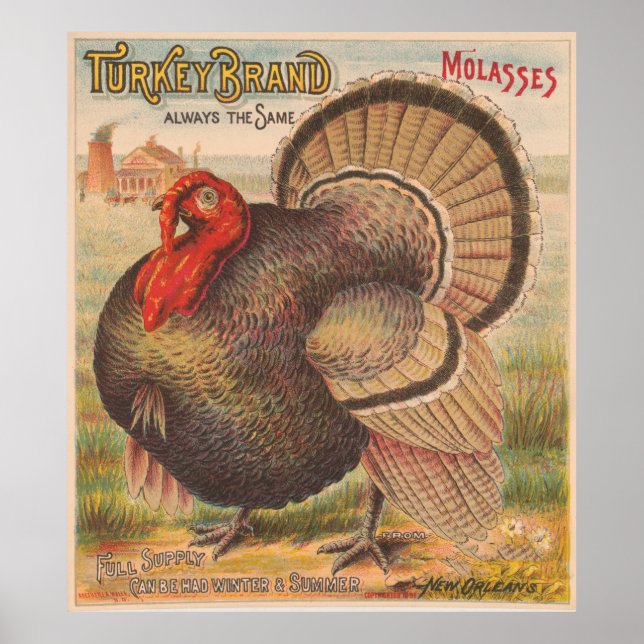 Vintage Thanksgiving Turkey Illustration (1891) Poster (Front)