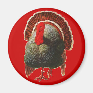 Vintage Thanksgiving Turkey Magnet