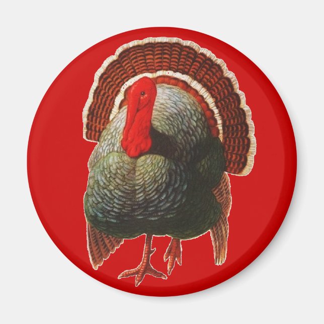 Vintage Thanksgiving Turkey Magnet (Front)