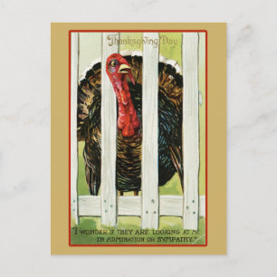 Vintage Thanksgiving Turkey Postcard