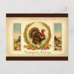 Vintage Thanksgiving Turkey Postcard
