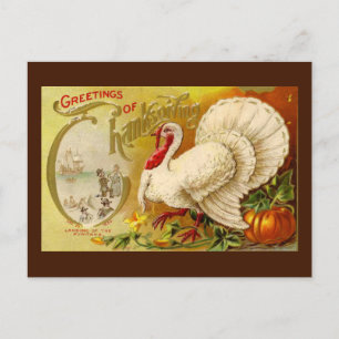 Vintage Thanksgiving Turkey Postcard
