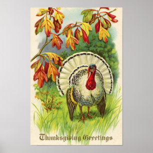Vintage Thanksgiving Turkey Poster