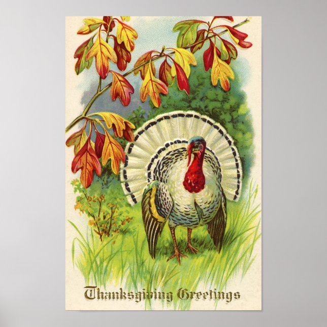 Vintage Thanksgiving Turkey Poster (Front)