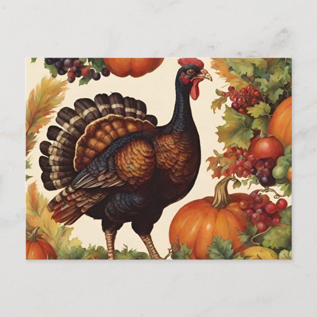 Vintage Thanksgiving Turkey with Pumpkin  Holiday Postcard (Front)