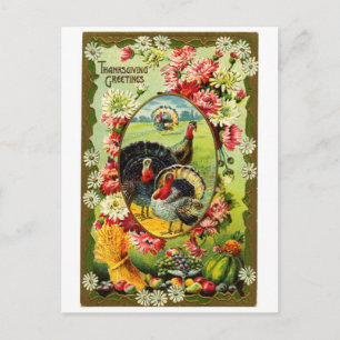 Vintage Thanksgiving Turkeys Postcard